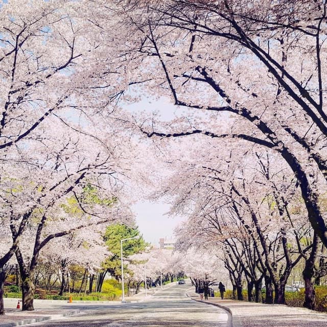 Spring