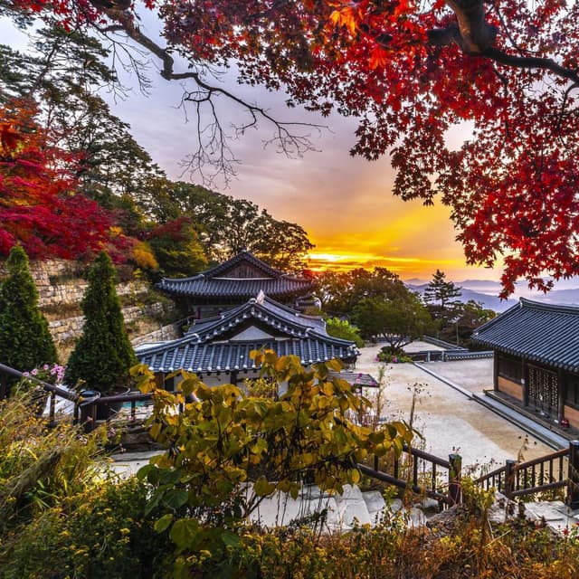 Autumn